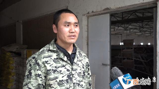 家庭小工厂致富门路 养殖创业致富好帮手