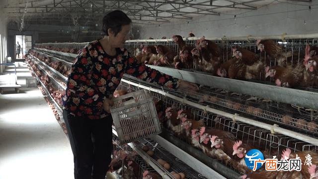 家庭小工厂致富门路 养殖创业致富好帮手