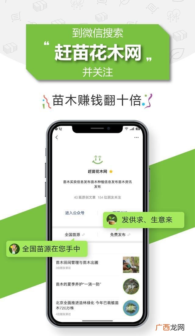 未来十年紧缺的苗木 农村栽什么树最有前景