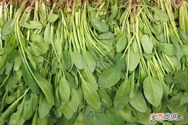 10月适合种植的蔬菜 这个季节种植什么最好