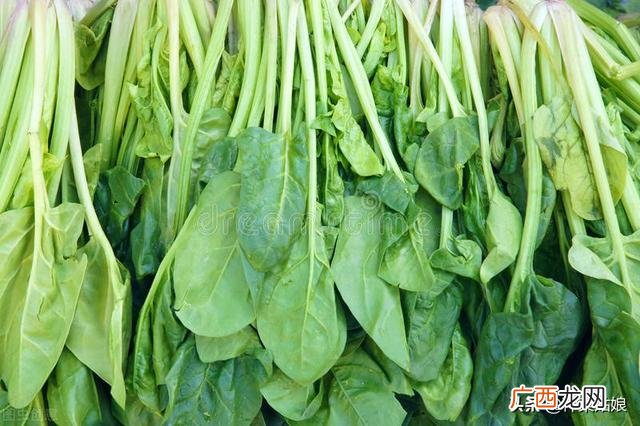 10月适合种植的蔬菜 这个季节种植什么最好