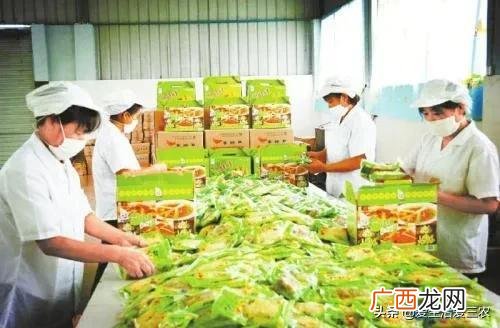 县城投资100万加工行业 100万做什么投资最好