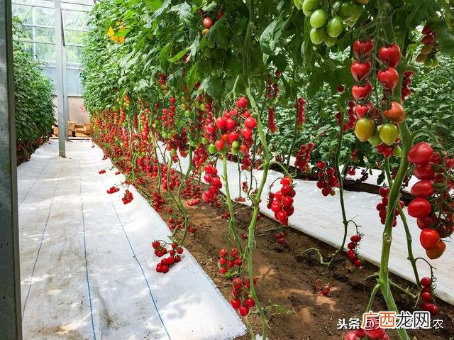返乡创业人才短缺,农民工返乡创业面临的问题