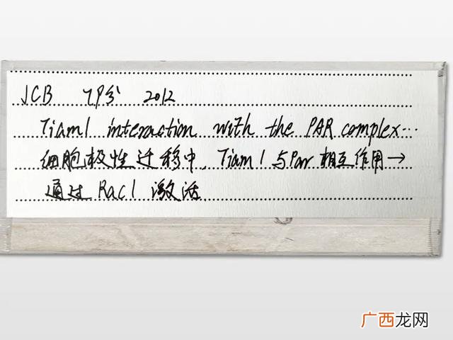 研究思路和框架怎么写 课题研究的基本思路和方法