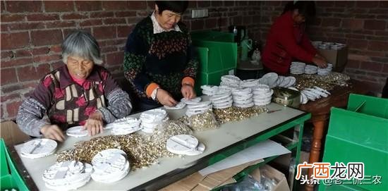 我想创业不知道做什么生意好,我想自己做点小生意,不知道做什么好