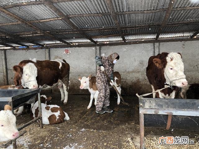创业致富带头人主要事迹 妇女创业致富带头人