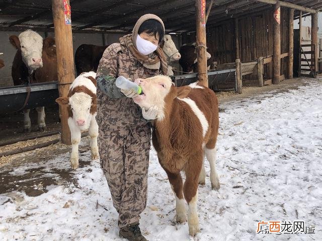 创业致富带头人主要事迹 妇女创业致富带头人