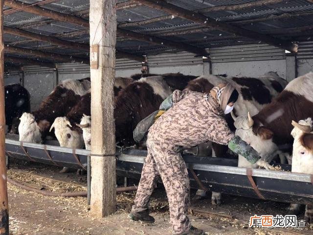 创业致富带头人主要事迹 妇女创业致富带头人