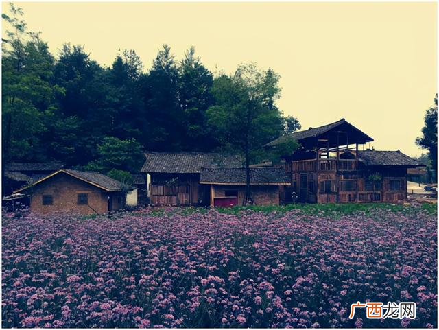 在农村建个小厂房不知道做什么,农村创业适合做什么