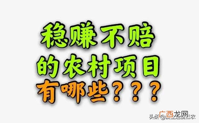 适合穷人养殖创业,农村创业的好项目