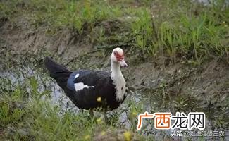 做什么赚钱最快最稳,现在做什么行业最赚钱最稳