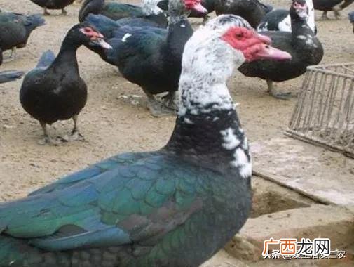 做什么赚钱最快最稳,现在做什么行业最赚钱最稳