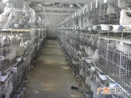 做什么赚钱最快最稳,现在做什么行业最赚钱最稳