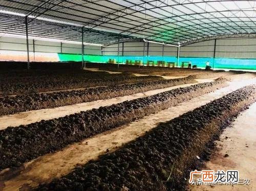 做什么赚钱最快最稳,现在做什么行业最赚钱最稳