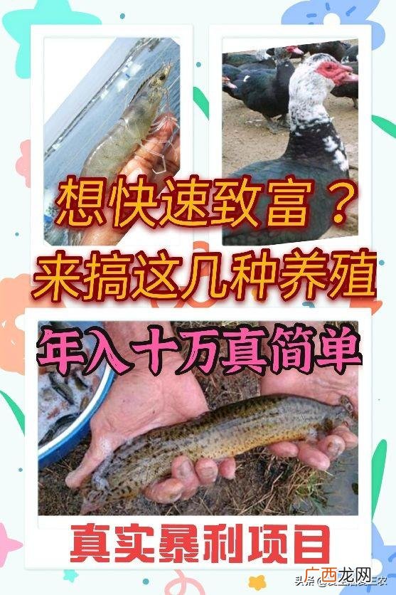 做什么赚钱最快最稳,现在做什么行业最赚钱最稳