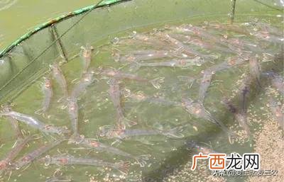 做什么赚钱最快最稳,现在做什么行业最赚钱最稳