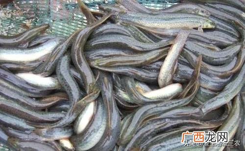 做什么赚钱最快最稳,现在做什么行业最赚钱最稳