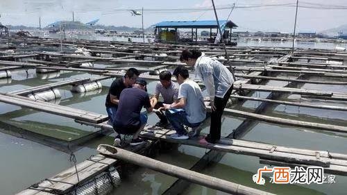 未来10大暴利种植,渔业养殖项目计划书