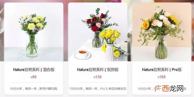 开花店的项目分析,花店创业项目可行性分析报告