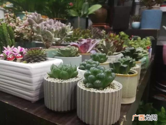 开花店的项目分析,花店创业项目可行性分析报告