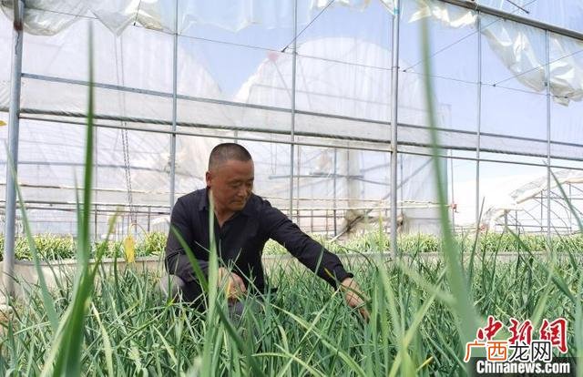 无抵押贷款能贷10万吗,去哪个银行贷款比较容易通过