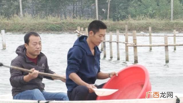 淡水养殖什么最赚钱农村 创业水产养殖项目
