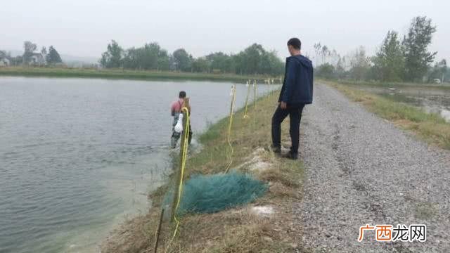 淡水养殖什么最赚钱农村 创业水产养殖项目