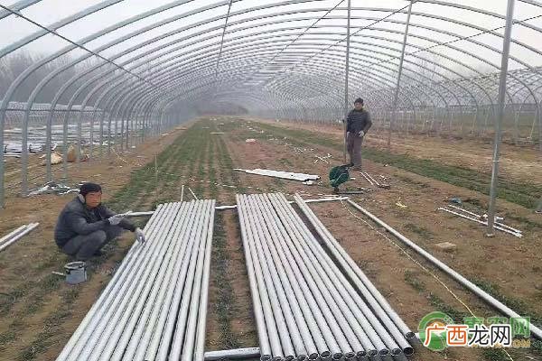 蔬菜大棚实施方案,蔬菜大棚项目实施方案