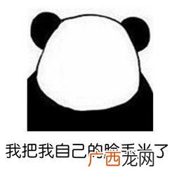 马云模拟器 马云创业经历,视频演讲