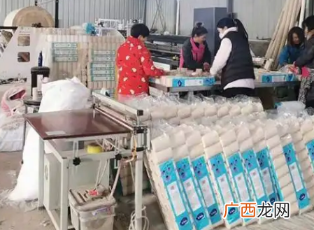 2023年加工卫生纸行情如何，农村卫生纸加工厂一年能算多少钱
