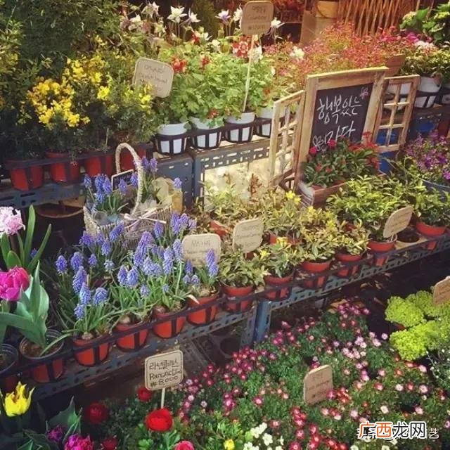 花店创业计划书范文 水果店创业计划书完整版