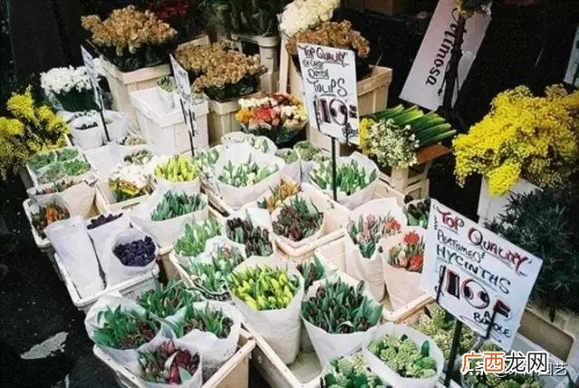 花店创业计划书范文 水果店创业计划书完整版