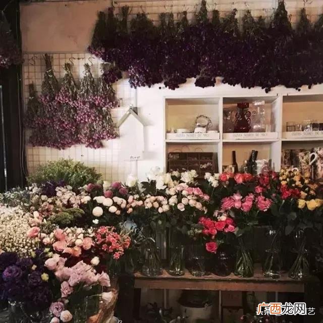 花店创业计划书范文 水果店创业计划书完整版