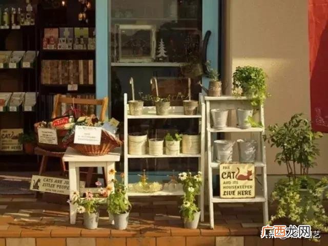 花店创业计划书范文 水果店创业计划书完整版