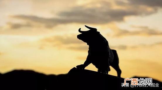 预测未来涨100倍大牛股 未来十倍潜力科技股