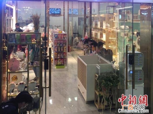 悬赏猫app下载苹果客户端,悬赏兔app下载官网