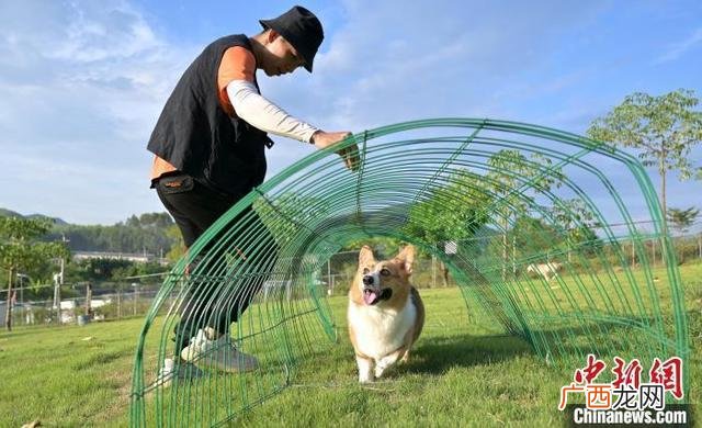 悬赏猫app下载苹果客户端,悬赏兔app下载官网