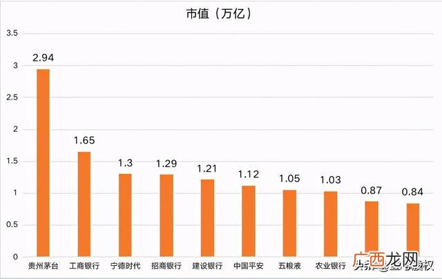 a股市值最大的十家公司 美国市值前十的公司