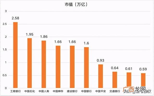 a股市值最大的十家公司 美国市值前十的公司
