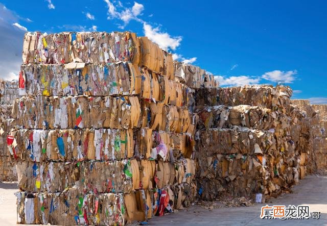 纸品回收再加工工厂 废纸收购厂家联系方式