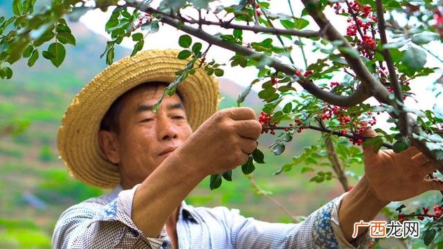 阿里巴巴零食批发网 零食一手货源批发山西