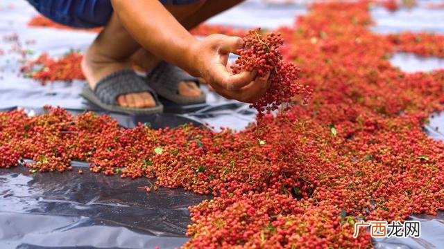 阿里巴巴零食批发网 零食一手货源批发山西