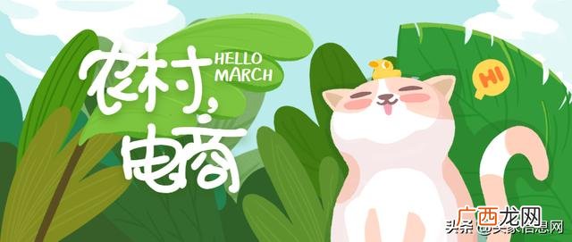 设计创业项目计划书,关于农产品电商创业项目扶贫计划书