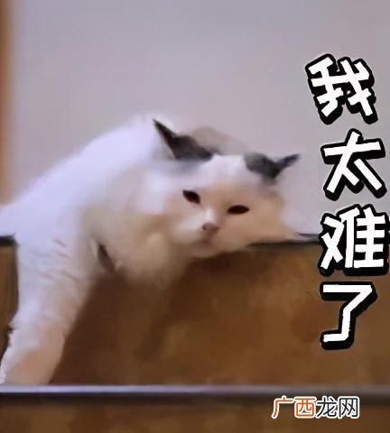 一个公司上市一般需要几年,一个公司上市需要具备哪些条件