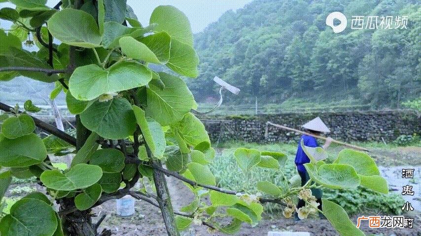 拍摄销售视频经验总结,短视频创业实战课程总结