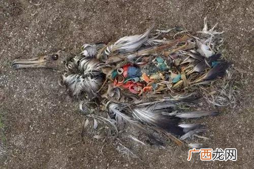 百年国水的水厂在哪 贵州百年国水骗局