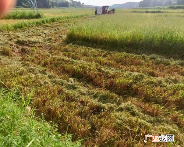 平江伍市最新招聘信息 平江大众电商产业园