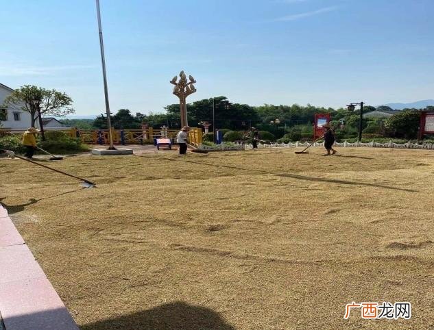平江伍市最新招聘信息 平江大众电商产业园