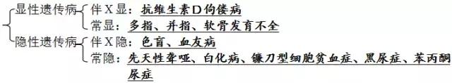 基因的分离规律及其实质,创业规律的实质是什么