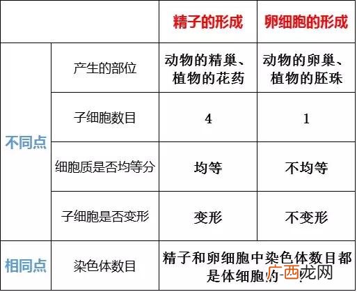基因的分离规律及其实质,创业规律的实质是什么